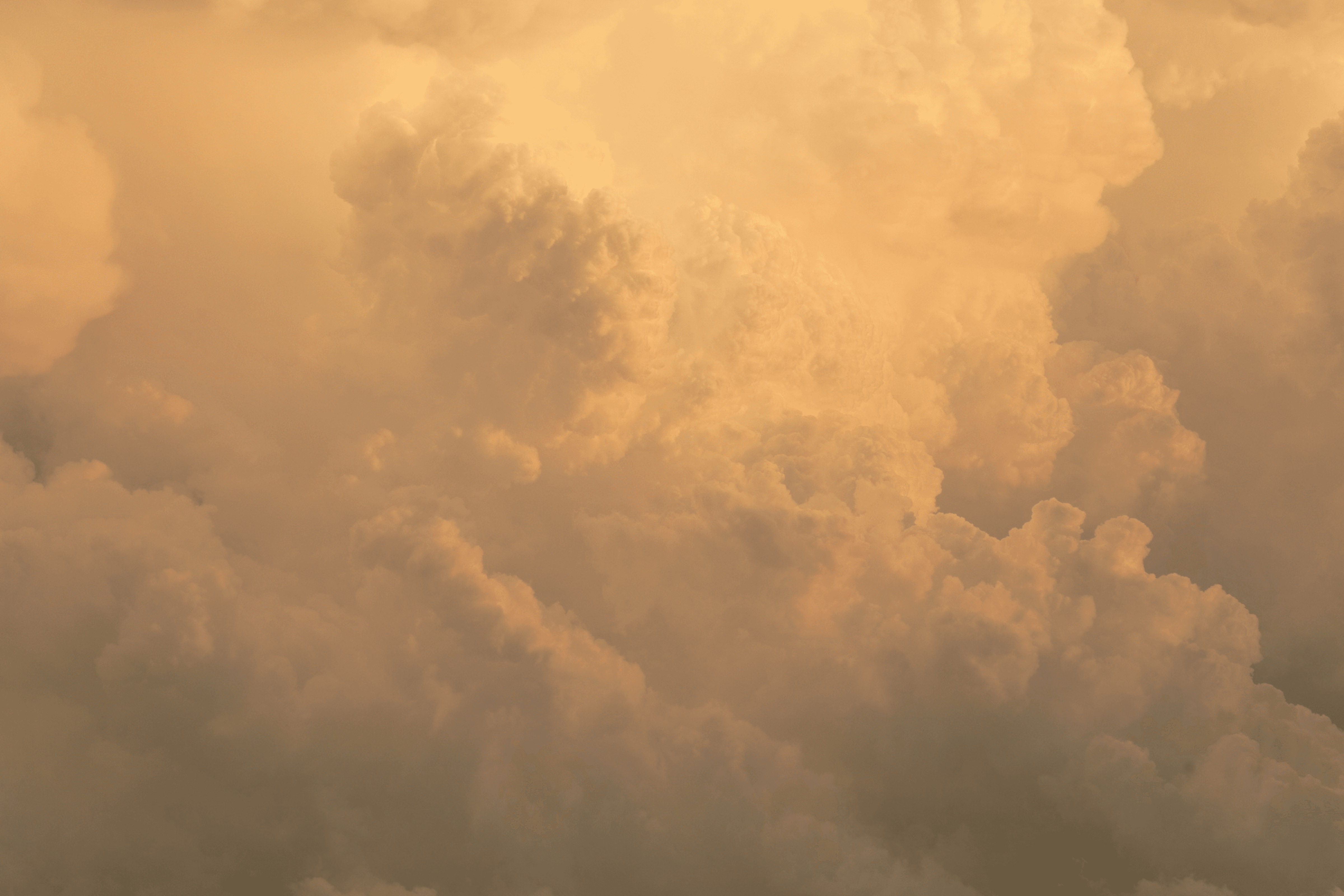 Nonprofit leadership insights for purpose-driven leaders - delivered straight to your inbox