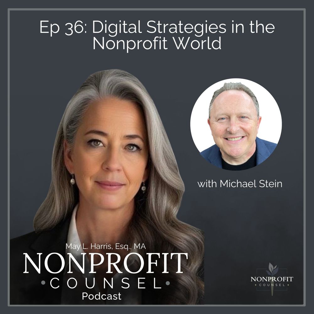 Digital Strategies in the Nonprofit World with Michael Stein